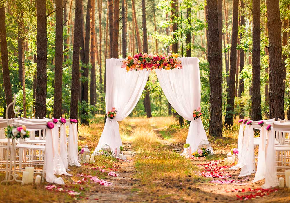 Ceremonia de boda decorada con flores y pétalos al aire libre en la montaña