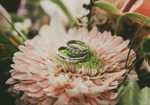 Renovación de votos anillos de boda alianzas en una flor
